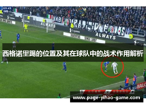 西格诺里踢的位置及其在球队中的战术作用解析 西格诺里踢的位置及其在球队中的战术作用解析